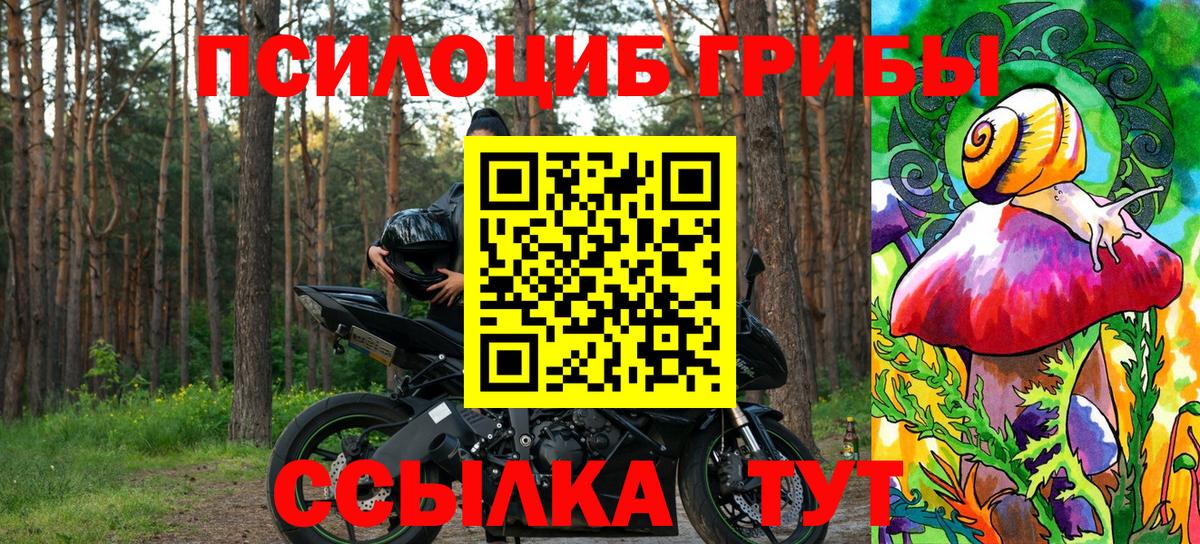 Георгиевск  Галлюциногенные грибы MAGIC MUSHROOMS  Галлюциногенные грибы ЛСД  Вход с VPN 